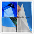 China Waterproof Blue/White PE Tarpaulin Truck Cover, Finished Tarpaulin with Gromments